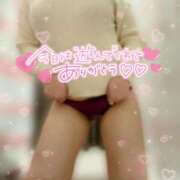 ヒメ日記 2025/03/07 18:49 投稿 かなえ 香川高松ちゃんこ