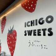 ヒメ日記 2025/03/09 15:45 投稿 かなえ 香川高松ちゃんこ