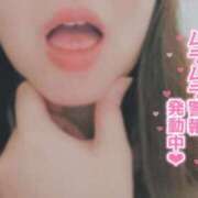 ヒメ日記 2025/03/29 11:39 投稿 かなえ 香川高松ちゃんこ