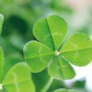 ヒメ日記 2025/04/02 20:49 投稿 かなえ 香川高松ちゃんこ