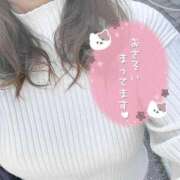 ヒメ日記 2025/04/11 15:29 投稿 かなえ 香川高松ちゃんこ