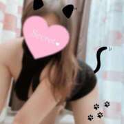 ヒメ日記 2025/06/04 21:37 投稿 かなえ 香川高松ちゃんこ