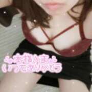 ヒメ日記 2025/06/10 19:34 投稿 かなえ 香川高松ちゃんこ