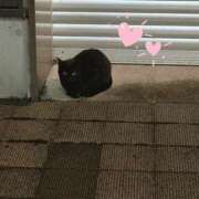 ヒメ日記 2025/06/11 12:09 投稿 かなえ 香川高松ちゃんこ