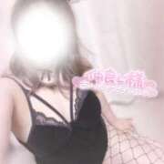 ヒメ日記 2025/11/14 19:29 投稿 かなえ 香川高松ちゃんこ