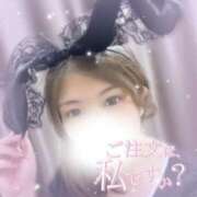 ヒメ日記 2026/03/14 20:39 投稿 かなえ 香川高松ちゃんこ