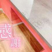 ヒメ日記 2026/04/16 12:34 投稿 かなえ 香川高松ちゃんこ