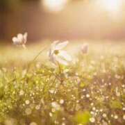 ヒメ日記 2025/01/16 07:32 投稿 川瀬 ありさ こあくまな熟女たち三河店（KOAKUMAグループ）