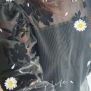 ヒメ日記 2025/02/26 09:40 投稿 川瀬 ありさ こあくまな熟女たち三河店（KOAKUMAグループ）