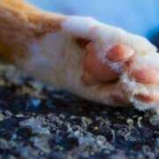 ヒメ日記 2025/03/11 21:43 投稿 川瀬 ありさ こあくまな熟女たち三河店（KOAKUMAグループ）