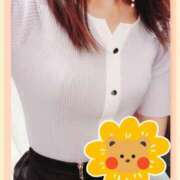 ヒメ日記 2025/04/26 13:56 投稿 川瀬 ありさ こあくまな熟女たち三河店（KOAKUMAグループ）