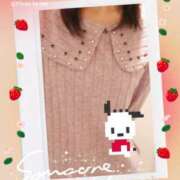 ヒメ日記 2025/05/02 09:41 投稿 川瀬 ありさ こあくまな熟女たち三河店（KOAKUMAグループ）