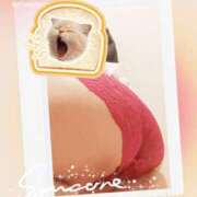 ヒメ日記 2025/05/12 09:38 投稿 川瀬 ありさ こあくまな熟女たち三河店（KOAKUMAグループ）