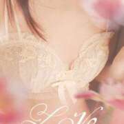 ヒメ日記 2025/11/29 09:21 投稿 川瀬 ありさ こあくまな熟女たち三河店（KOAKUMAグループ）