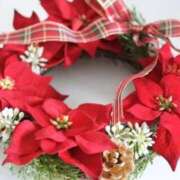 ヒメ日記 2024/12/16 15:54 投稿 ヒメ キャンディ(鹿児島)