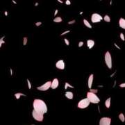 ヒメ日記 2025/01/01 00:42 投稿 ヒメ キャンディ(鹿児島)