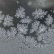 ヒメ日記 2025/01/05 23:00 投稿 ヒメ キャンディ(鹿児島)