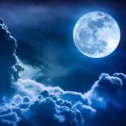 ヒメ日記 2025/01/15 23:18 投稿 ヒメ キャンディ(鹿児島)