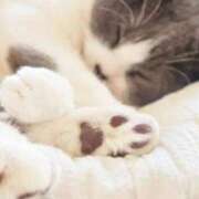 ヒメ日記 2025/01/24 23:48 投稿 ヒメ キャンディ(鹿児島)