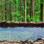 ヒメ日記 2025/01/27 01:00 投稿 ヒメ キャンディ(鹿児島)