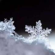 ヒメ日記 2025/02/04 23:18 投稿 ヒメ キャンディ(鹿児島)