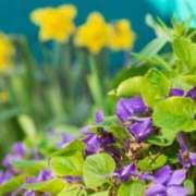 ヒメ日記 2025/02/05 23:00 投稿 ヒメ キャンディ(鹿児島)