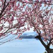 ヒメ日記 2025/03/01 18:48 投稿 ヒメ キャンディ(鹿児島)