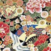 ヒメ日記 2025/03/14 00:12 投稿 ヒメ キャンディ(鹿児島)