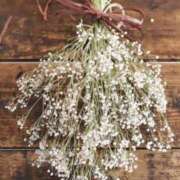 ヒメ日記 2025/03/31 16:42 投稿 ヒメ キャンディ(鹿児島)