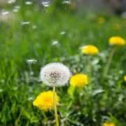 ヒメ日記 2025/04/27 06:42 投稿 ヒメ キャンディ(鹿児島)