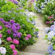 ヒメ日記 2025/06/01 23:27 投稿 ヒメ キャンディ(鹿児島)