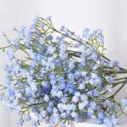 ヒメ日記 2025/09/06 12:00 投稿 ヒメ キャンディ(鹿児島)