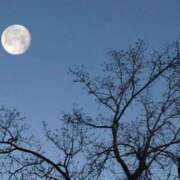 ヒメ 中秋の名月 キャンディ(鹿児島)