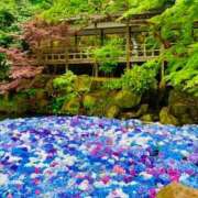 ヒメ ♡ キャンディ(鹿児島)