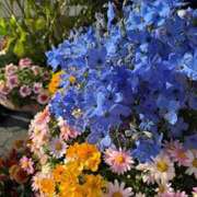 ヒメ日記 2025/07/15 22:30 投稿 あいみ オトナのハンドメイド