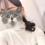 ヒメ日記 2025/01/21 15:52 投稿 みなと オトナのハンドメイド