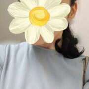 ヒメ日記 2025/04/26 23:31 投稿 みなと オトナのハンドメイド