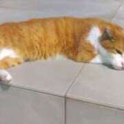 ヒメ日記 2025/04/27 13:05 投稿 みなと オトナのハンドメイド