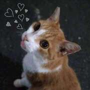 ヒメ日記 2025/06/01 13:47 投稿 みなと オトナのハンドメイド