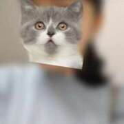 ヒメ日記 2025/07/04 13:43 投稿 みなと オトナのハンドメイド