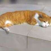 ヒメ日記 2025/09/08 22:31 投稿 みなと オトナのハンドメイド