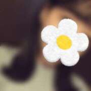 ヒメ日記 2025/09/27 09:12 投稿 みなと オトナのハンドメイド