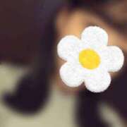 ヒメ日記 2025/10/04 13:23 投稿 みなと オトナのハンドメイド