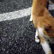 ヒメ日記 2026/01/23 21:48 投稿 みなと オトナのハンドメイド