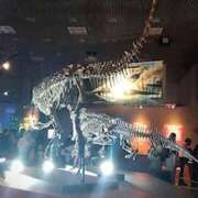 ヒメ日記 2026/02/23 10:38 投稿 みなと オトナのハンドメイド