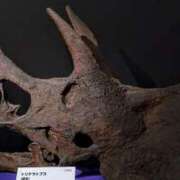 ヒメ日記 2026/02/28 19:54 投稿 みなと オトナのハンドメイド