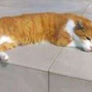 みなと かぜがつよい オトナのハンドメイド