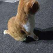 ヒメ日記 2026/03/12 21:18 投稿 みなと オトナのハンドメイド