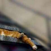 ヒメ日記 2026/03/15 19:00 投稿 みなと オトナのハンドメイド