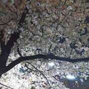 ヒメ日記 2026/04/23 21:45 投稿 みなと オトナのハンドメイド